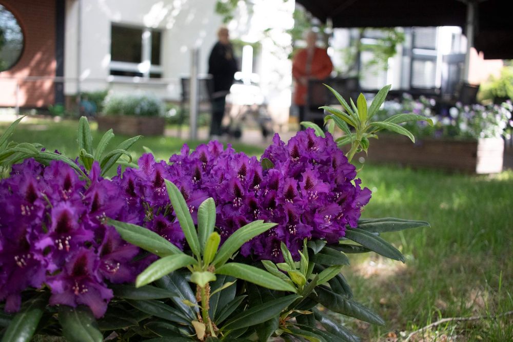 Bild vom GArten im J&uuml;dischen Seniorenheim